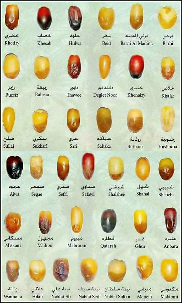 different types of dates