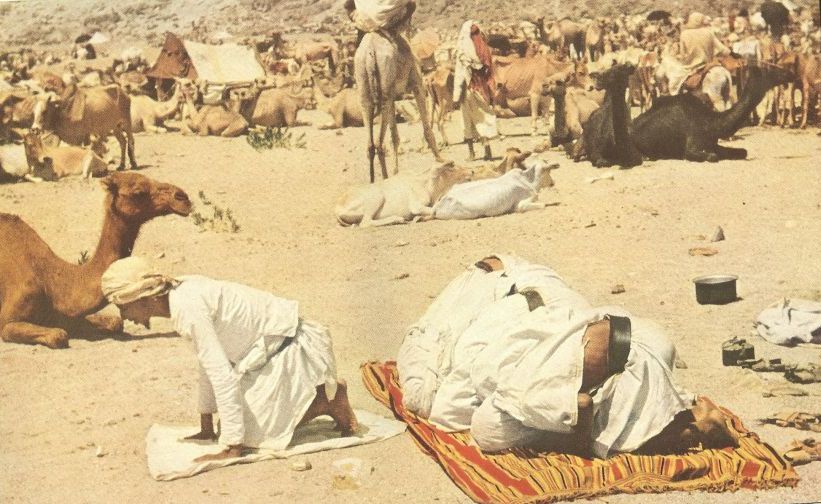 hajj qurbani of camel