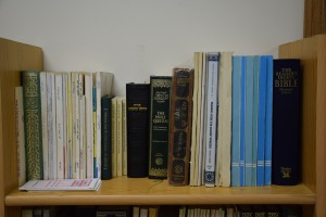 Mother Mosque, diverse bookshelf